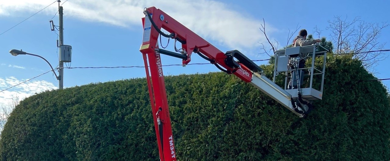 Cèdres Gatineau Symetric | Plantation, Taille & Service d'entretien de Cèdres à Gatineau photo 9