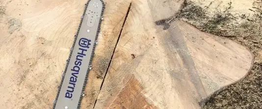 Cèdres Gatineau Symetric | Plantation, Taille & Service d'entretien de Cèdres à Gatineau photo 7